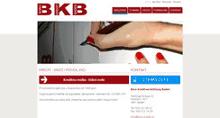 Desktop Screenshot of boro-kredit.ch